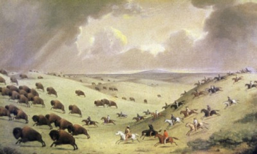 The Buffalo Hunt  Paul Kane Poster Print - Item # VARSAL2180486315