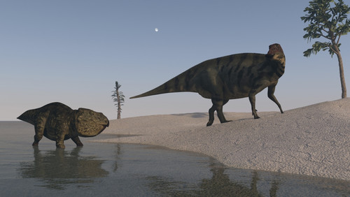 Udanoceratops and Shuangmiaosaurus roaming the shoreline Poster Print