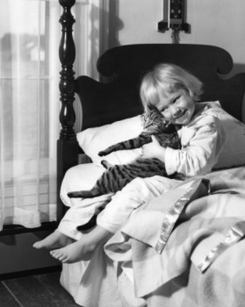 Girl sitting on bed and holding cat Poster Print - Item # VARSAL255416533