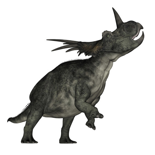 Styracosaurus dinosaur roaring, white background Poster Print - Item # VARPSTEDV600210P