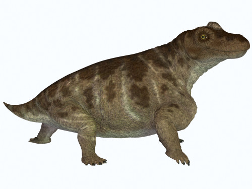 Keratocephalus was a semi-aquatic herbivore dinosaur that lived during the Permian Age in Africa Poster Print - Item # VARPSTCFR200136P