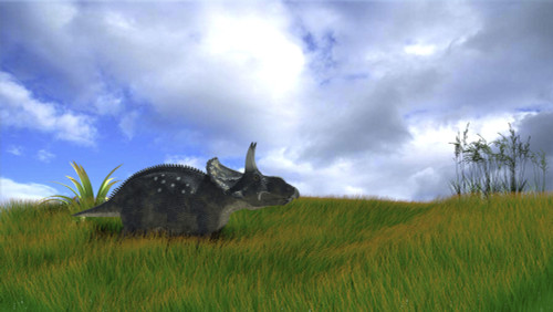 Triceratops walking across prehistoric grasslands Poster Print - Item # VARPSTKVA600204P