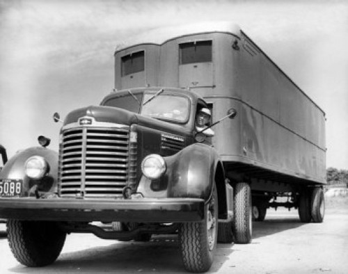 Low angle view of a driver sitting in a truck Poster Print - Item # VARSAL25518603