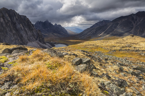 Colorful tundra in autumn in Tombstone Territorial Park; Yukon, Canada PosterPrint - Item # VARDPI12271155