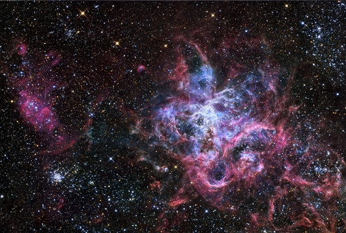 NGC 2070, found in the southern constellation of Dorado, is an intense star forming region located in the Large Magellanic Cloud and is also known as the Tarantula Nebula or 30 Doradus Poster Print