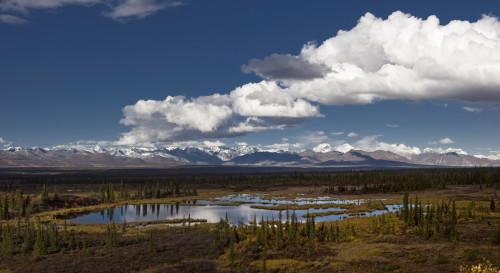Scenic View Of A Kettle Pond With The Alaska Range In The Background, Interior Alaska PosterPrint - Item # VARDPI2154527