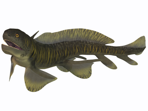 Orthacanthus was a Devonian freshwater shark that thrived in Carboniferous swamps and bayous in Europe and North America Poster Print - Item # VARPSTCFR200146P