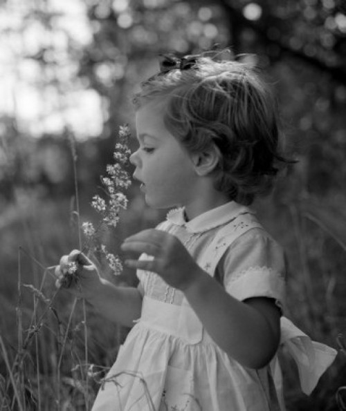 Little girl in meadow Poster Print - Item # VARSAL255416470