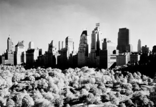 USA  New York State  New York City  view of Central Park and Manhattan skyline Poster Print - Item # VARSAL255422317 USA  New York State  New York City  view of Central Park and Manhattan skyline Poster Print - Item # VARSAL255422317
