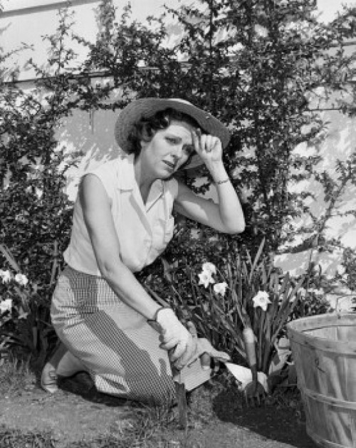 Young woman gardening Poster Print - Item # VARSAL25532178