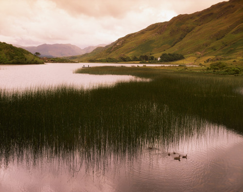 Kylemore Lough, Co Galway, Ireland PosterPrint - Item # VARDPI1815510
