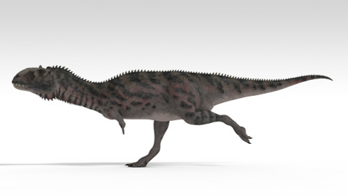 Majungasaurus dinosaur, white background Poster Print - Item # VARPSTKVA600750P