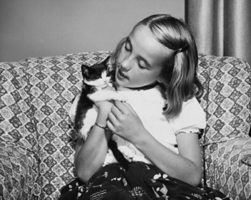 Close-up of a girl holding a kitten Poster Print - Item # VARSAL25514155