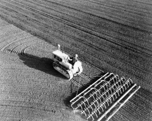 High angle view of a farmer plowing a field with a tractor Poster Print - Item # VARSAL25530460