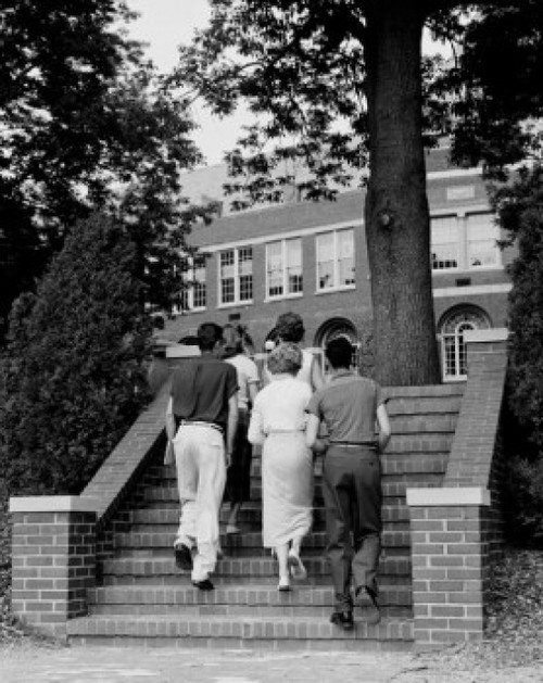 Five students walking up steps Poster Print - Item # VARSAL255419257