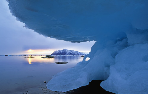 Iceberg, Grise Fiord, Nunavut PosterPrint - Item # VARDPI2016738