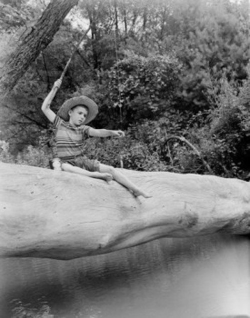 Boy sitting on tree trunk and fishing Poster Print - Item # VARSAL255424612