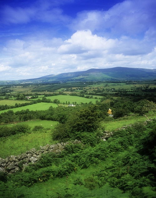 High Angle View Of Fields On A Landscape, Derrynamuck, County Wicklow, Republic Of Ireland PosterPrint - Item # VARDPI1798461