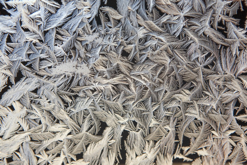 Frost Pattern On Window, Calgary, Alberta, Canada PosterPrint