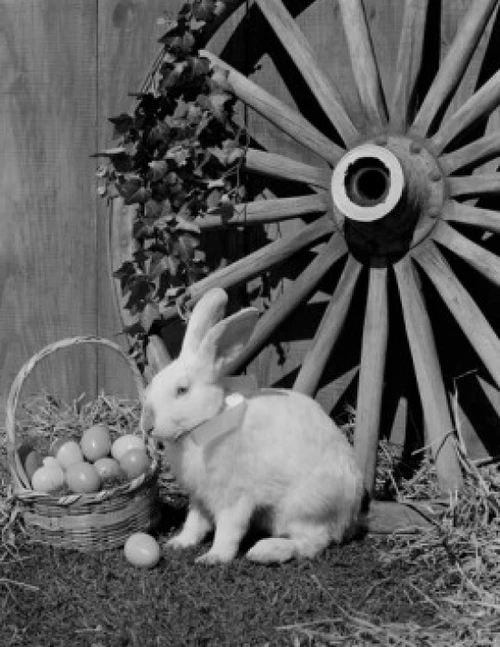 White rabbit and Easter eggs in basket Poster Print