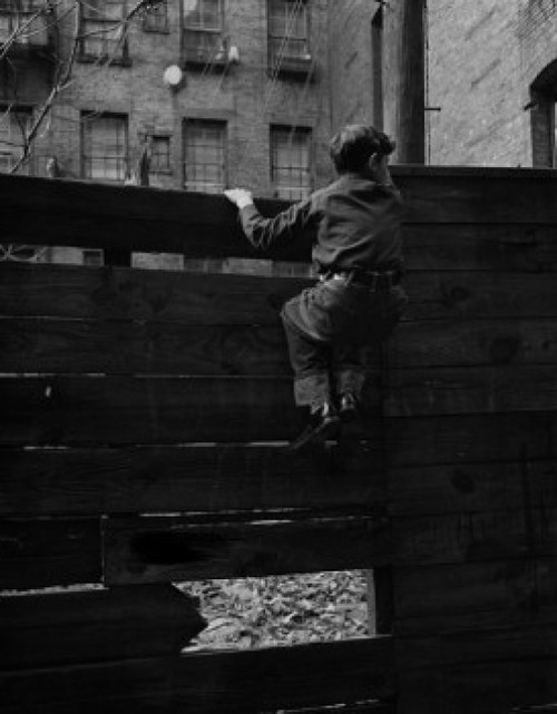 Rear view of boy climbing over fence Poster Print - Item # VARSAL255424762