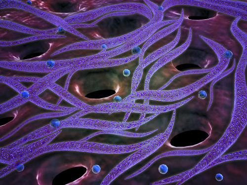 Conceptual image of Lactobacillus acidophilus. Lactobacillus is a gram-positive bacteria that occurs naturally in the human and animal gastrointestinal tract and mouth. Poster Print - Item # VARPSTSTK701001H