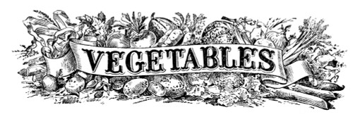 Historic illustration of vegetables with graphic banner from the 20th century. PosterPrint - Item # VARDPI12272390