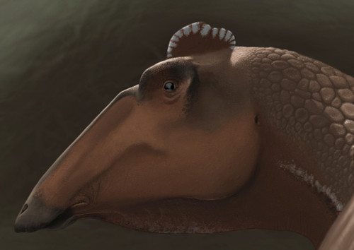 Portrait of the head of a Edmontosaurus regalis dinosaur. Poster Print - Item # VARPSTMDE100023P