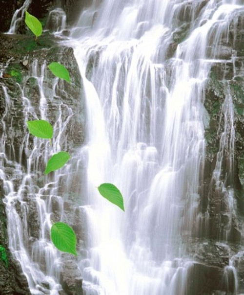 Green leaves cascading in front of waterfall Poster Print by Panoramic Images (20 x 24) - Item # PPI117996