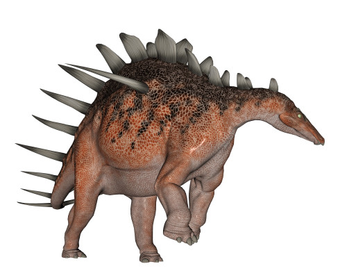 Kentrosaurus dinosaur, white background Poster Print - Item # VARPSTEDV600062P