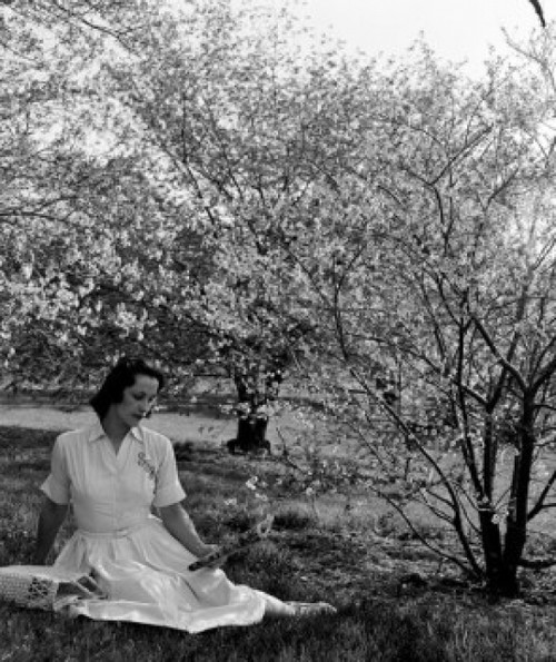 Young woman sitting in garden Poster Print - Item # VARSAL255416254