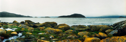 View of the coast at Tierra del Fuego National Park, Ushuaia, Tierra del Fuego Province, Patagonia, Argentina Poster Print - Item # VARPPI169885