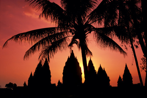 Indonesia, Java, View Of Palm Trees And Buildings Silhouetted At Sunset PosterPrint - Item # VARDPI2000835