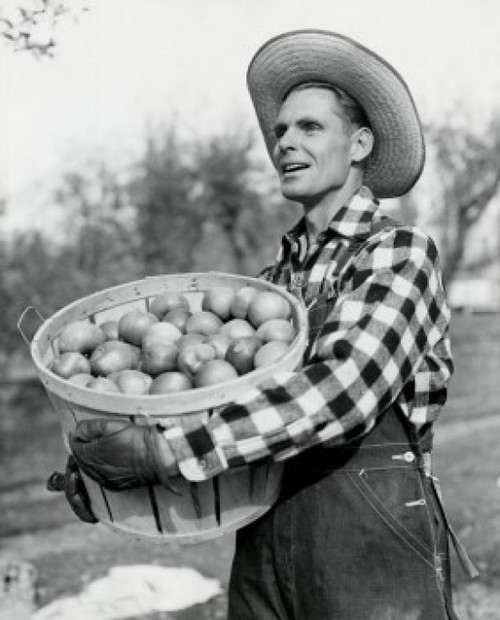 Side profile of a mid adult man holding a basket of apples Poster Print - Item # VARSAL25531433