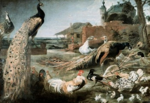 The Crow in Peacock Feathers   Oil on Canvas   Frans Snyders   Pushkin Museum of Fine Arts  Moscow Poster Print - Item # VARSAL261527