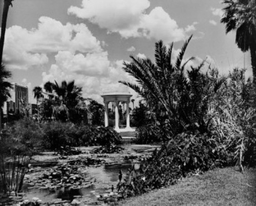 USA  Florida  Daytona Beach  Pool in park Poster Print - Item # VARSAL255423138