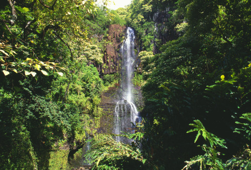 Hawaii, Maui, Hana Coast, Waterfall Surrounded By Lush Greenery PosterPrint - Item # VARDPI1993719