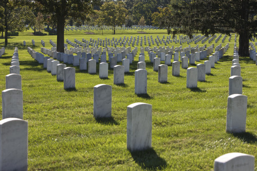 Arlington National Cemetery, Arlington, Virginia, USA Poster Print - Item # VARPSTTMO100609M