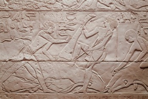 Slaughtering Scene   2250 BC  Egyptian Art(- )  Relief Staatliche Museen Preussischer Kulturbesitz   Berlin Poster Print - Item # VARSAL900691