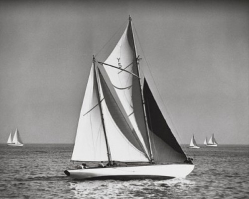 Sailboats in the sea Poster Print - Item # VARSAL25522803