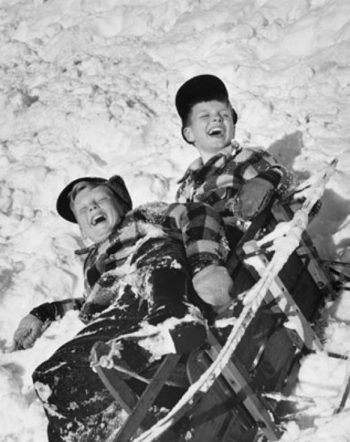 High angle view of two boys falling of sled Poster Print - Item # VARSAL25516512