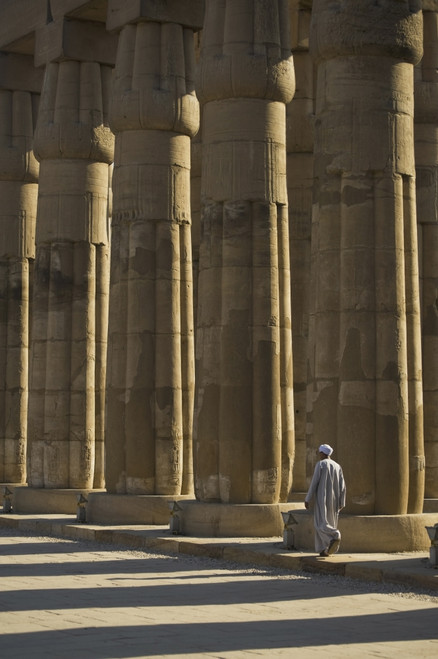 Temple Guard Walking Past Columns In Court Of Amenophis Iii PosterPrint - Item # VARDPI1880045