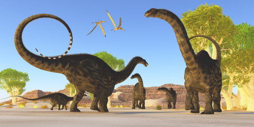 Two pterosaurs fly over a herd of Apatosaurus dinosaurs as they wander through a prehistoric forest Poster Print - Item # VARPSTCFR200173P