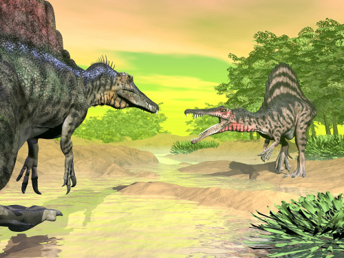 Two Spinosaurus dinosaurs confront each other face to face in a prehistoric environment Poster Print - Item # VARPSTEDV600071P