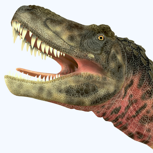 Tarbosaurus was a carnivorous theropod dinosaur that lived during the Cretaceous Period of Asia Poster Print - Item # VARPSTCFR200508P