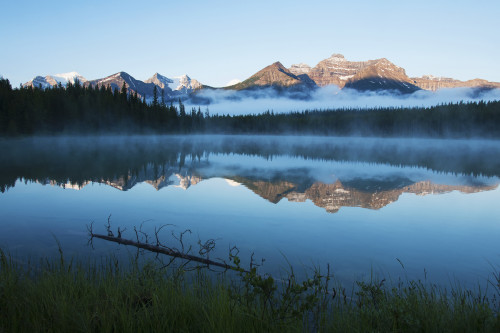 Herbert Lake, Banff National Park; Alberta, Canada PosterPrint - Item # VARDPI2429593