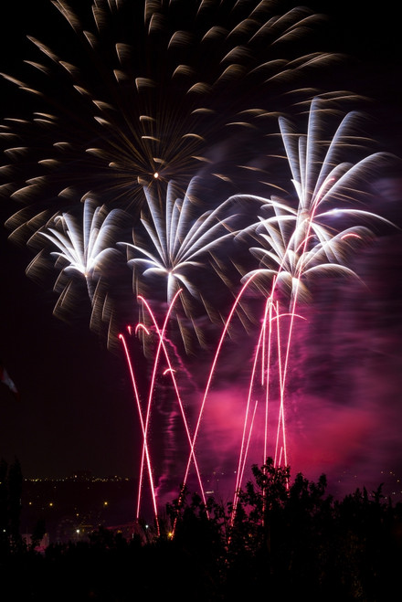 Colourful fireworks at nighttime; Calgary, Alberta, Canada PosterPrint - Item # VARDPI12285198