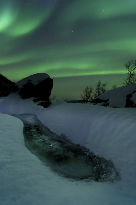 Aurora Borealis over a frozen river, Nordland, Norway Poster Print - Item # VARPSTAHE100106S