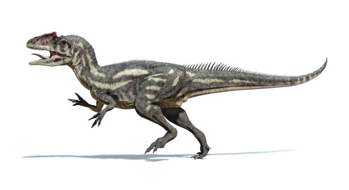 Allosaurus dinosaur on white background with drop shadow Poster Print - Item # VARPSTVET600039P
