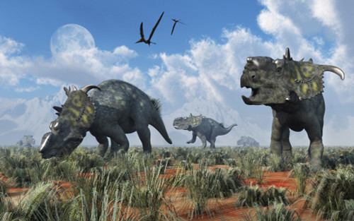 A herd of Pachyrhinosaurus dinosaurs Poster Print - Item # VARPSTMAS600051P